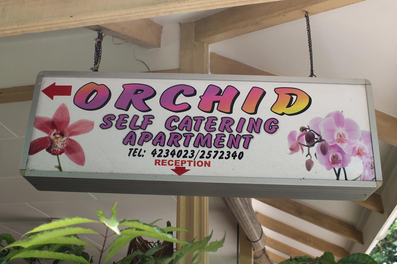 Orchid Self Catering Apartment ลาดิก ภายนอก รูปภาพ